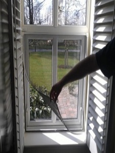Magnu B Windows