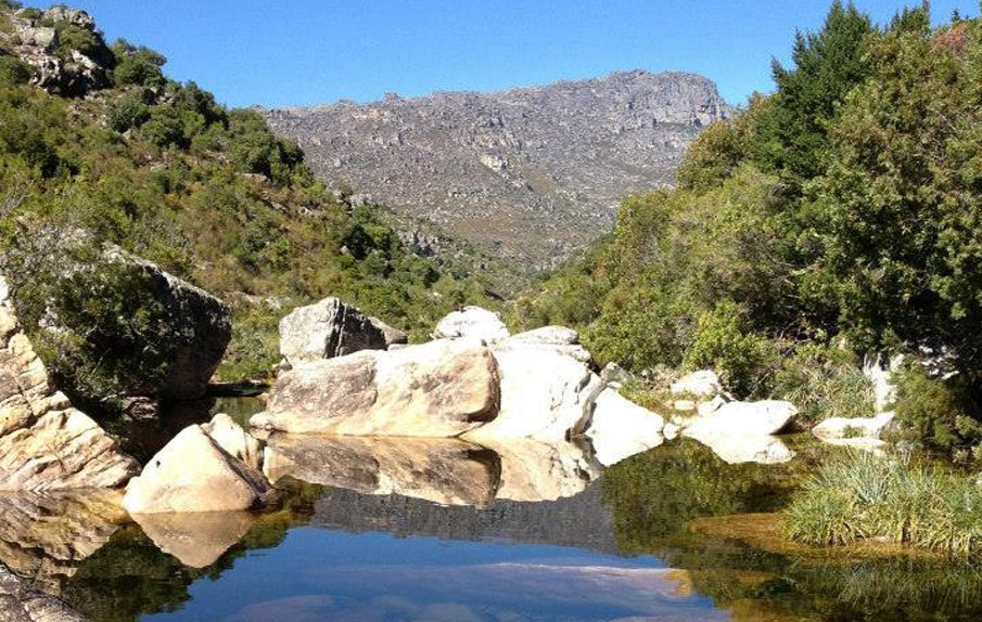 Mindfulness Based Psychotherapy